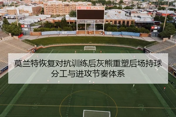 莫兰特恢复对抗训练后灰熊重塑后场持球分工与进攻节奏体系